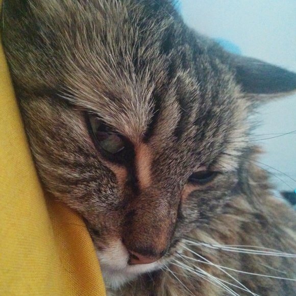 Meet your Posher, Ellen - Picture 2 of 2